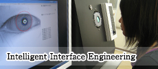 Intelligent Interface Engineering